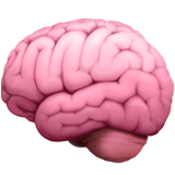 Cerebro